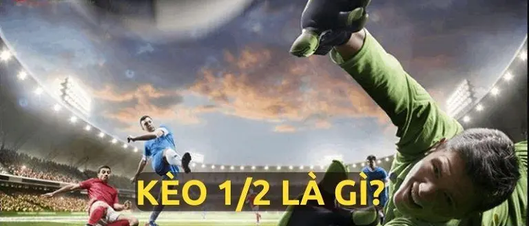 Thông tin cơ bản về kèo chấp 0.5 Manclub